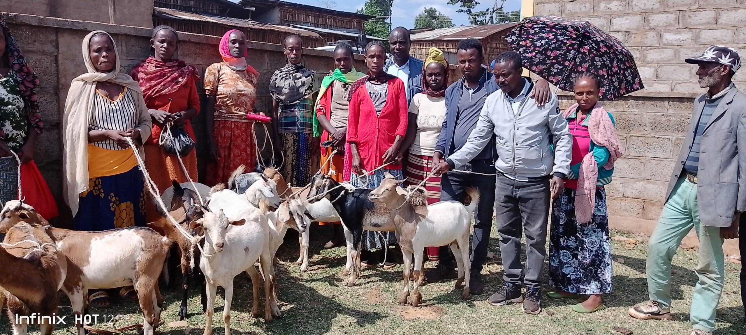 Read more about the article Aceo’s Impacts By Photo